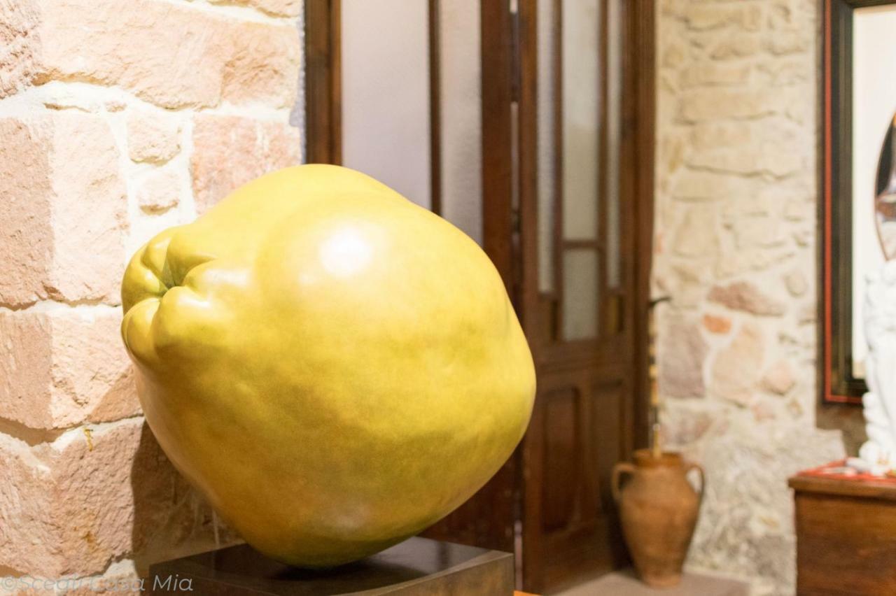 B&B S'Asilo Sardegna Banari 외부 사진